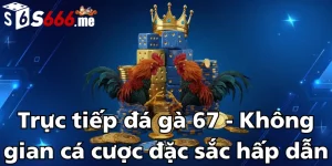 truc-tiep-da-ga-67-khong-gian-ca-cuoc-dac-sac-hap-dan