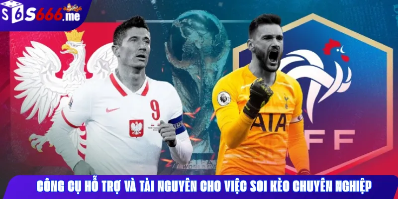 Công cụ hỗ trợ và tài nguyên cho việc soi kèo chuyên nghiệp