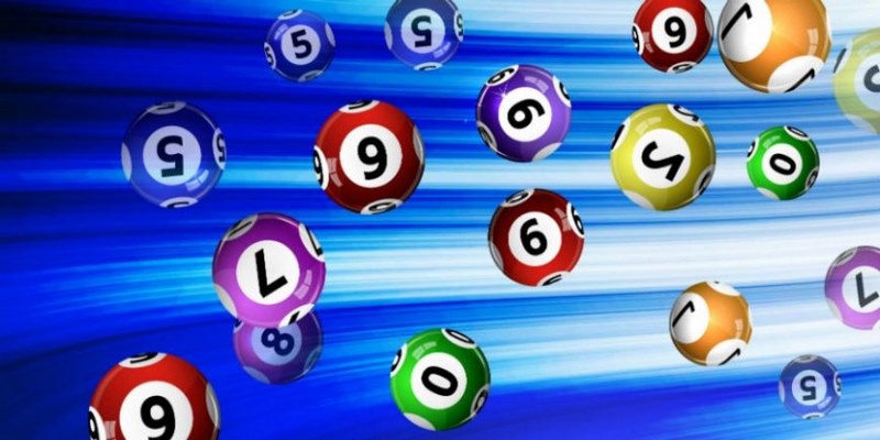 Phương pháp soi dự đoán quả trám khá đơn giản và hiệu quả